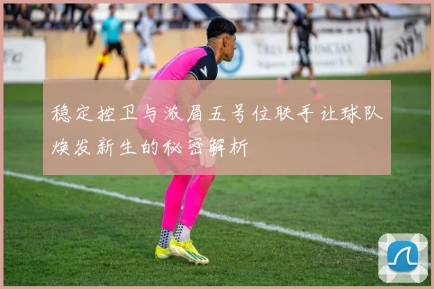 稳定控卫与浓眉五号位联手让球队焕发新生的秘密解析