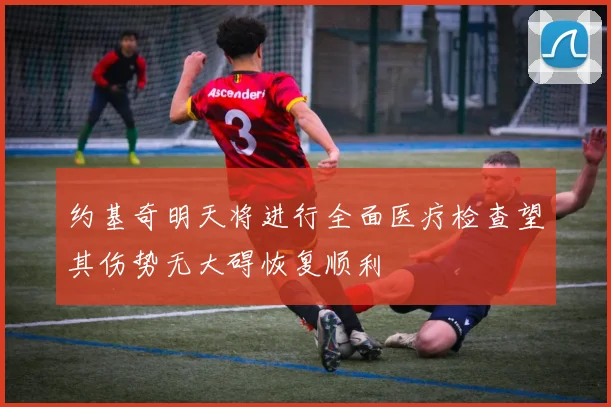 约基奇明天将进行全面医疗检查望其伤势无大碍恢复顺利