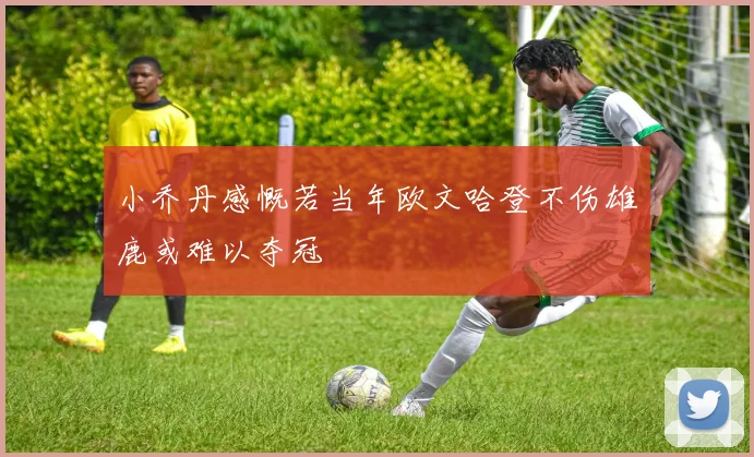小乔丹感慨若当年欧文哈登不伤雄鹿或难以夺冠